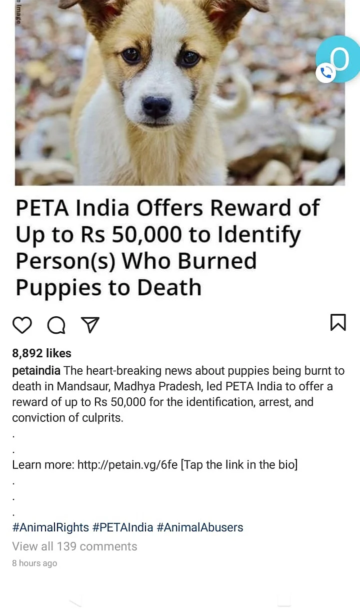 Madhya Pradesh: PETA announces Rs 50,000 reward to identify accused who ‘burnt’ nine puppies