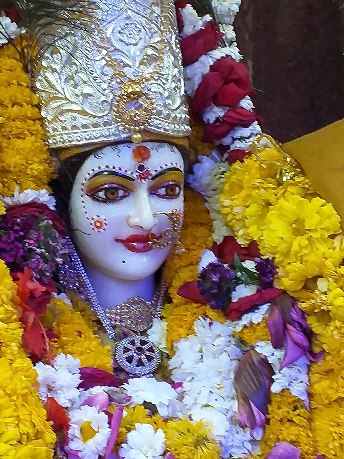 Indore: Spring brings hope on Basant Panchami to say goodbye to Corona