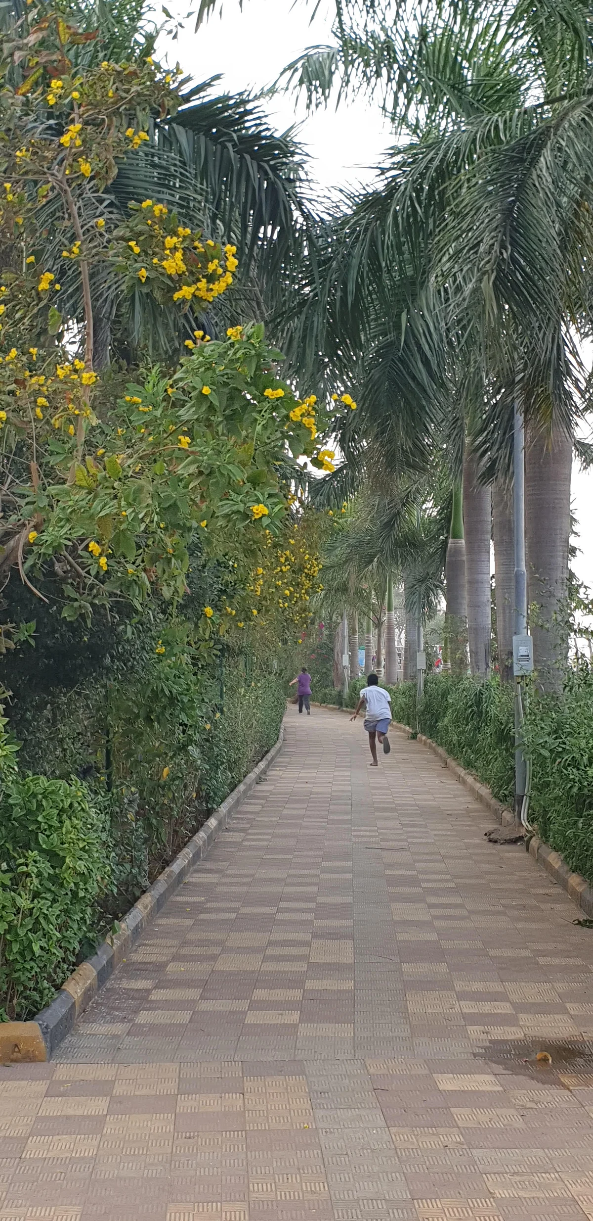 Mumbai: CPRA shows how to forge a model residential enclave