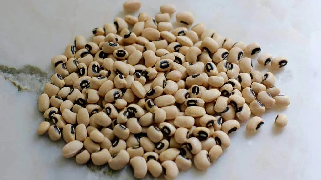 Chowli
