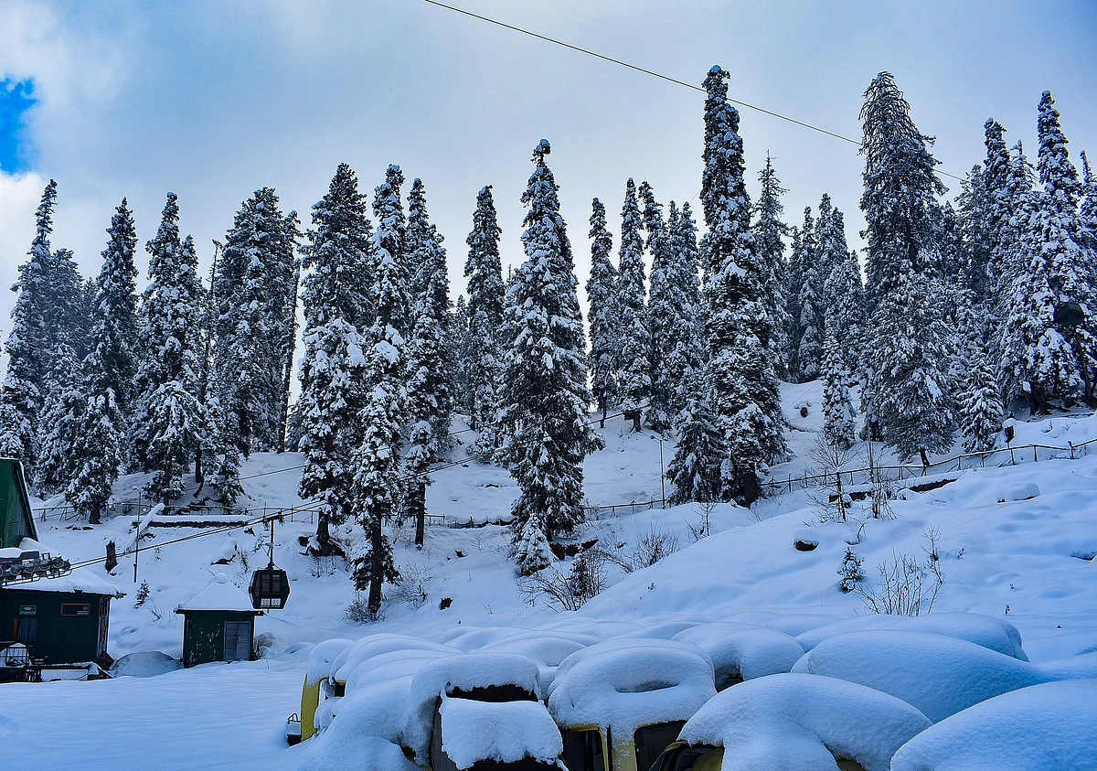 A view of a snow covered trees during a sunny winter day at Gulmarg, 55 kilometers north of Srinagar.