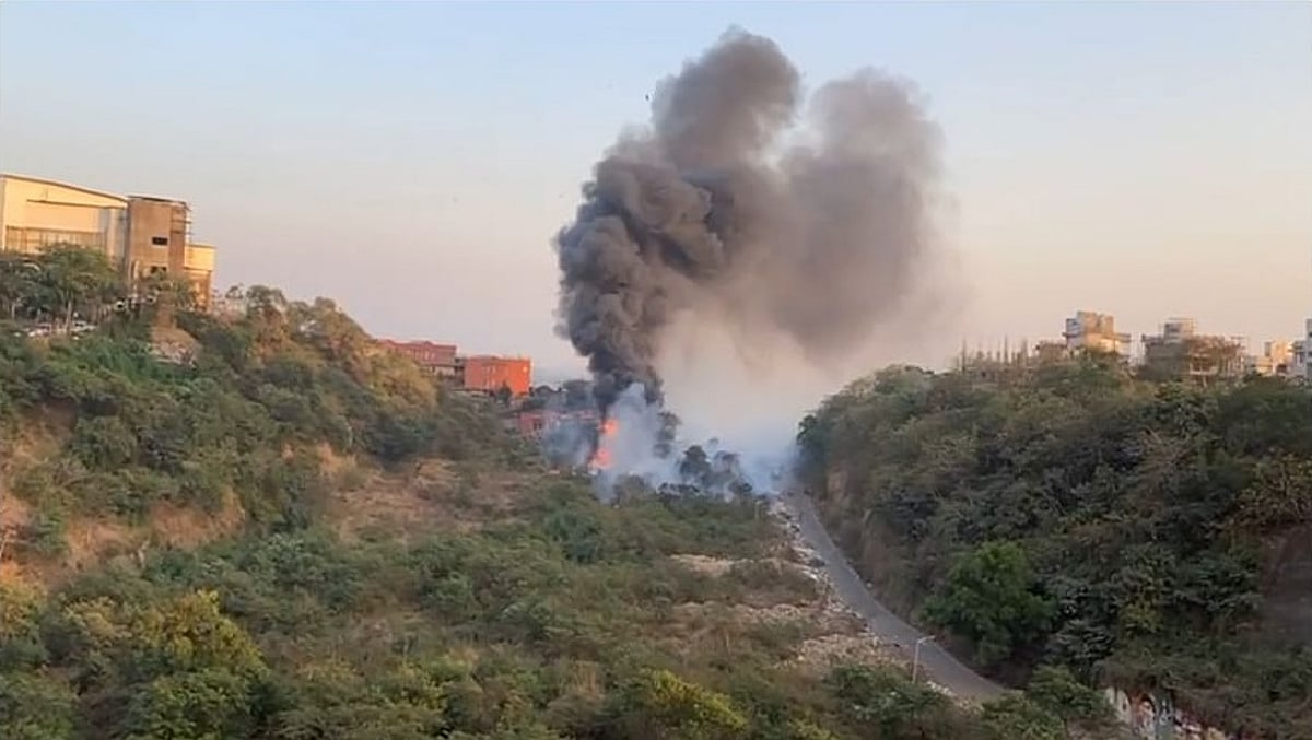 Mumbai: Regular fire at Aarey bother environmentalists - Vimarsana News
