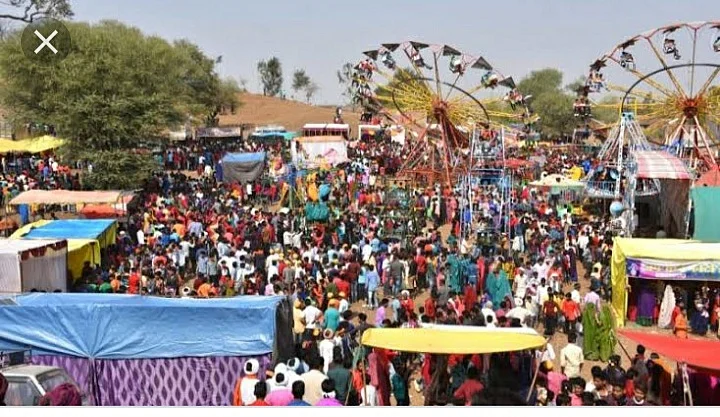 A view of Bhagoriya fair