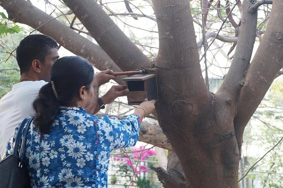 Fixing nest box on tree