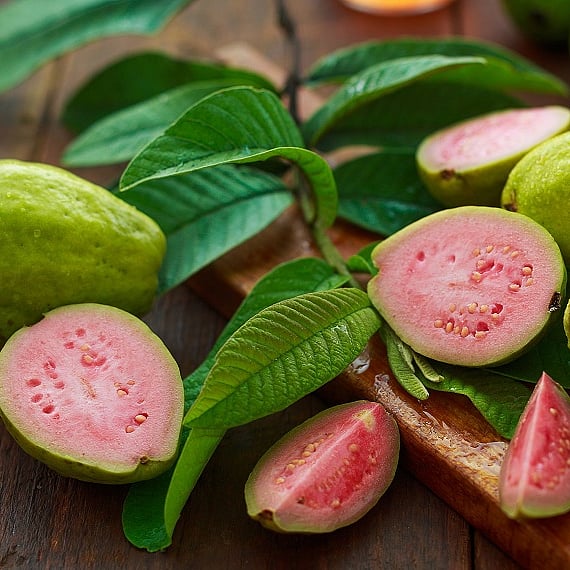 Guava roots can help fight diabetes: Research