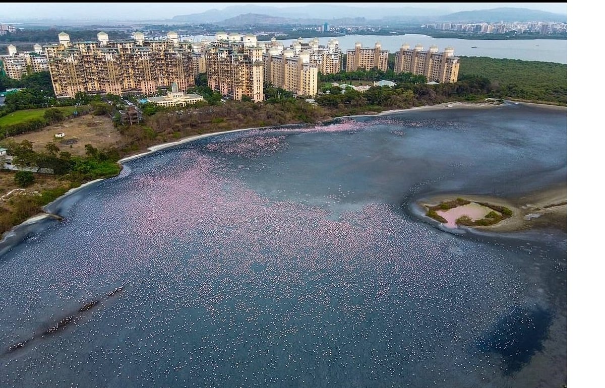 Navi Mumbai should be the yardstick for livable cities, says Anil Singh - Vimarsana News
