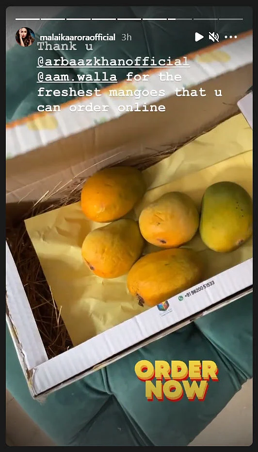 Arbaaz Khan sends ex-wife Malaika Arora box of 'freshest' mangoes