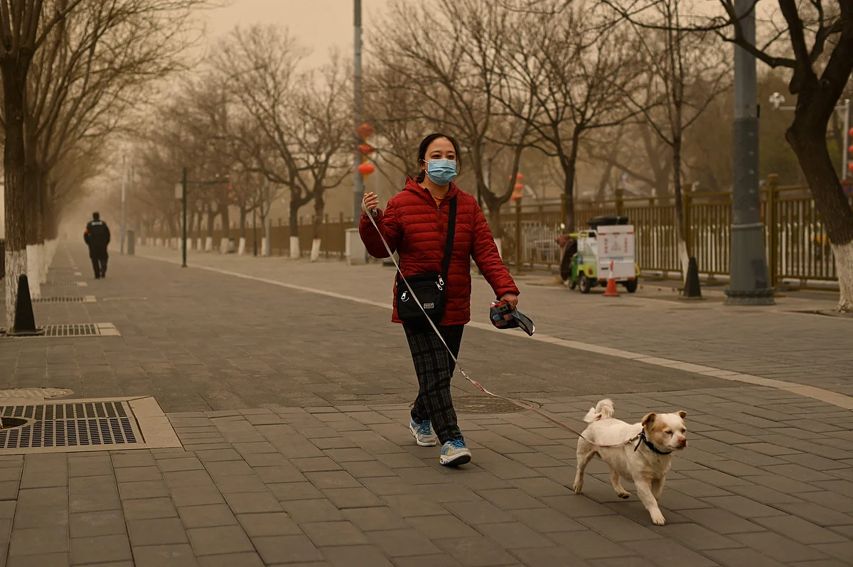 A woman walks her dog during a sandstorm in Beijing on March 15, 2021.