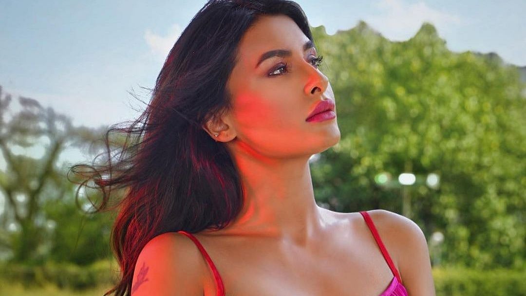 'Are we on Twitter for your abuses?': 'Bigg Boss 14' fame Pavitra Punia hits back at trolls in latest video