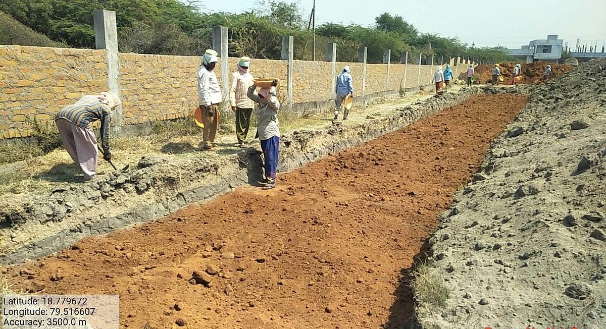 NTPC further expands its green presence with Miyawaki method plantation - Vimarsana News