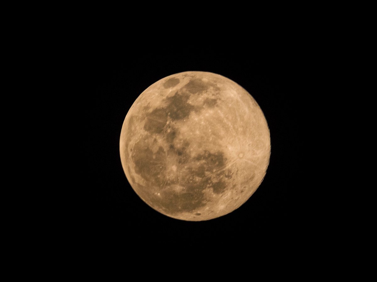 Madhya Pradesh: Pink Super Moon delight sky-watchers - Vimarsana News