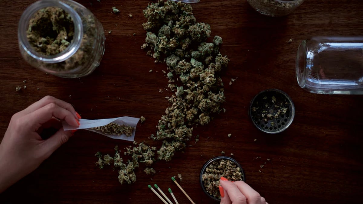 Mumbai: Three held after NCB raids Malad bakery making marijuana-based brownies 