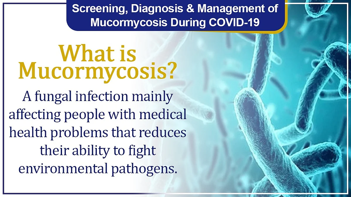 Mucormycosis: Health Minister Harsh Vardhan answers FAQs on black fungus; shares Dos and Don'ts