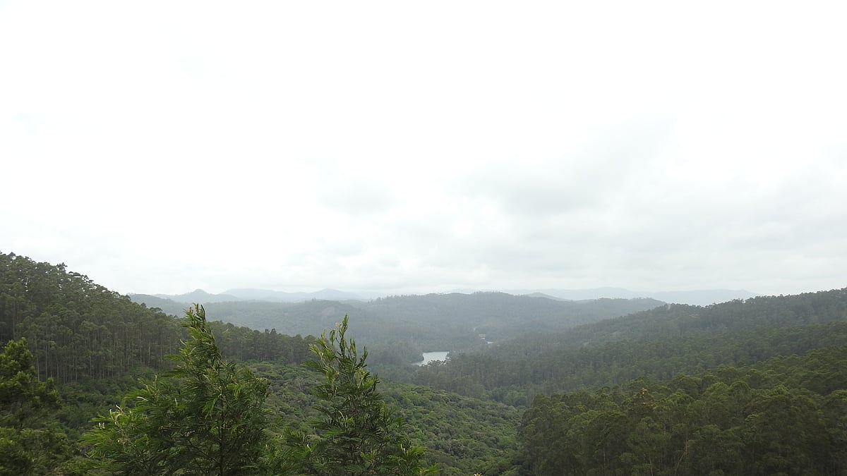Kodaikanal: This heavenly place in Tamil Nadu is a must-visit travel destination for nature lovers 