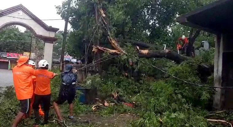 Firefighters personnel cuts the fallen tree as they carry out restoration works in the aftermath of Cyclone Yaas