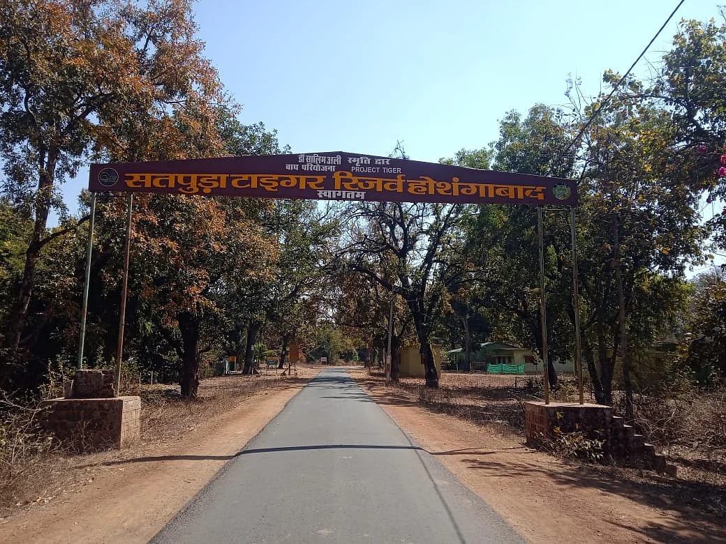 Bhopal: The Bhedaghat-Lamheta Ghat, Satpura Tiger Reserve to be included among the UNESCO World Heritage sites