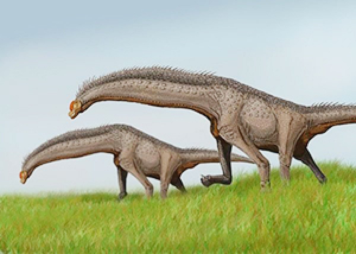 After Madhya Pradesh,100 million years old bones of sauropod dinosaurs discovered in Meghalaya