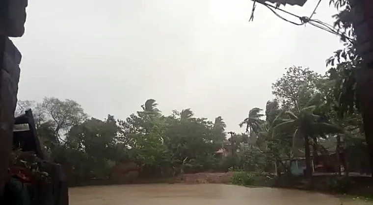 In pics: Cyclone Yaas ravages Odisha; trees, electric poles uprooted, kutcha houses damaged