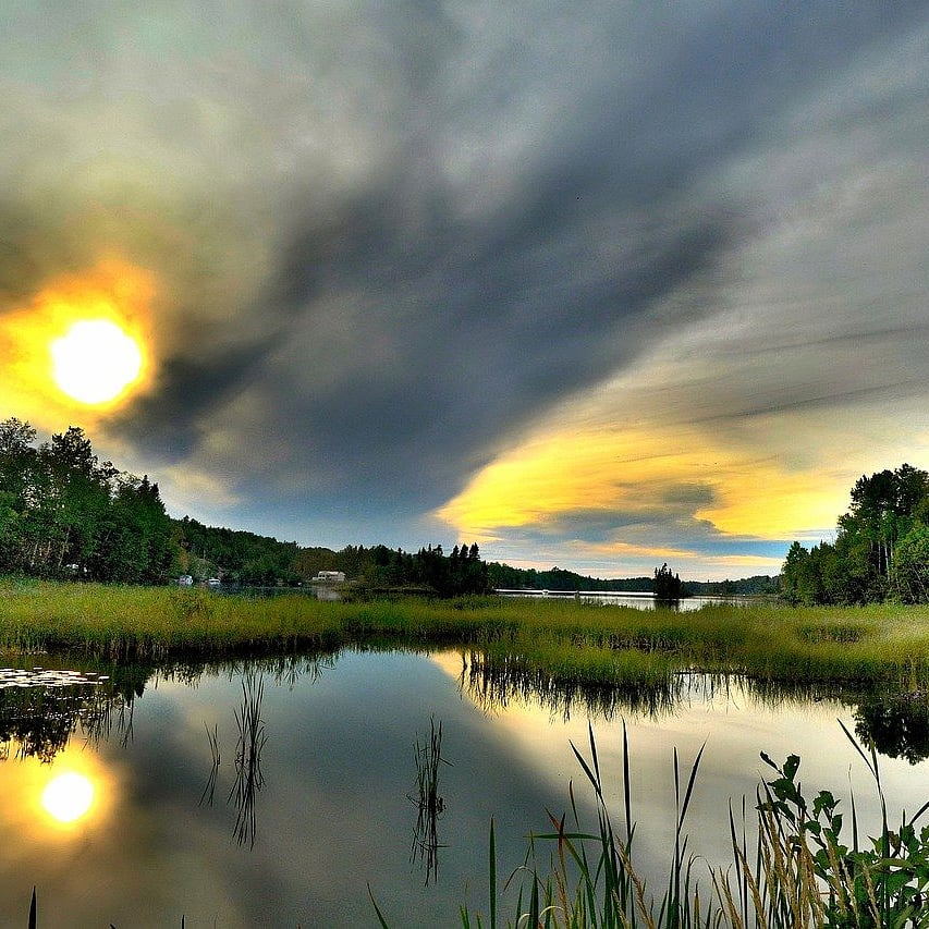 What is the significance of International Day for Biological Diversity 2021? 