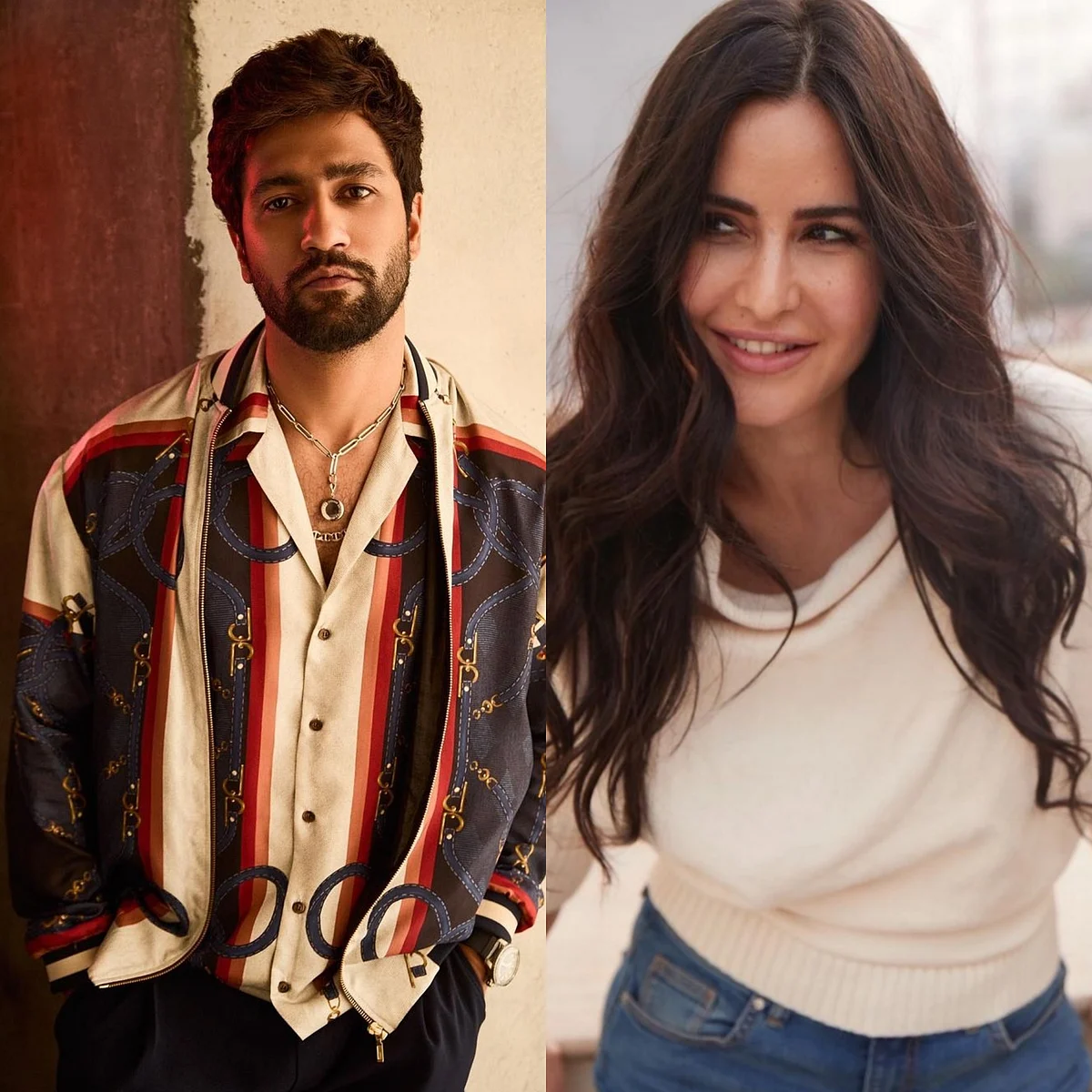 The Vicky Kaushal and Katrina Kaif romance continues
