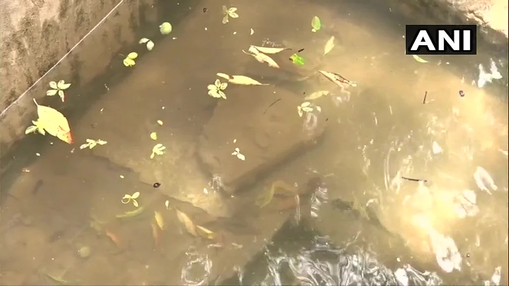Locals say even animals drink water from the pond