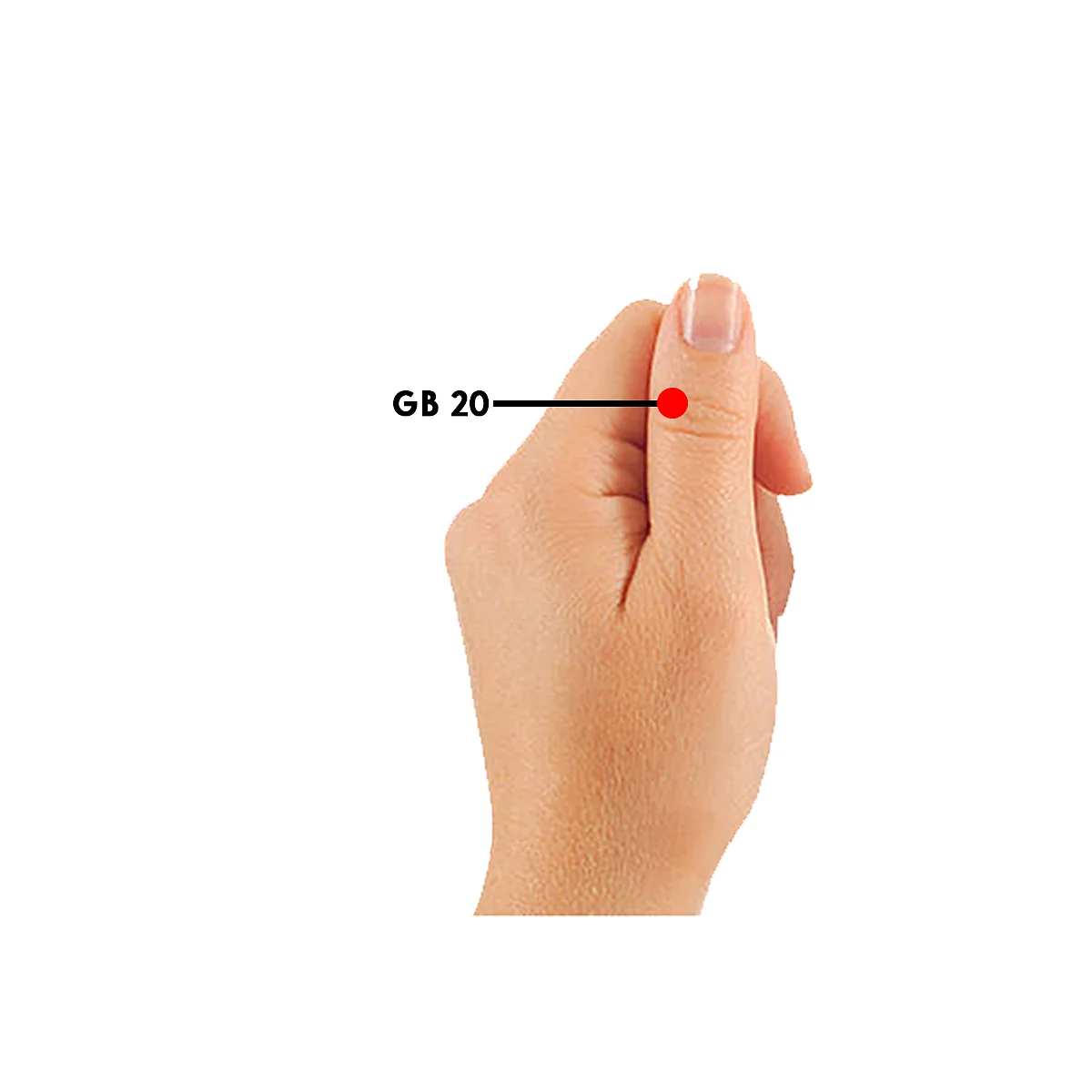 Simply Su-Jok: Manage hypertension and hypotension, here's how