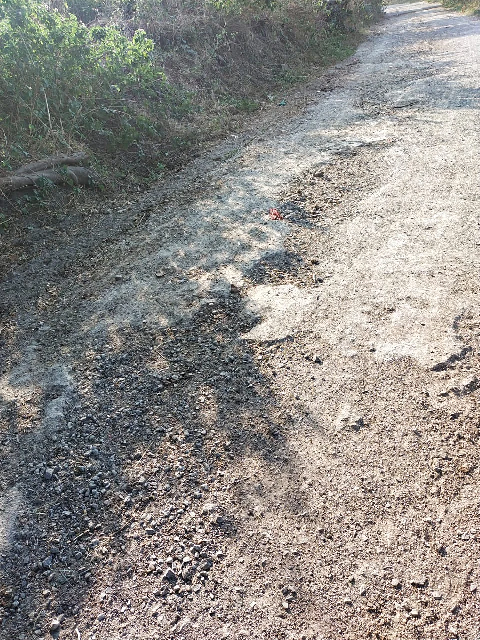 The dilapidated road in Dodiya village