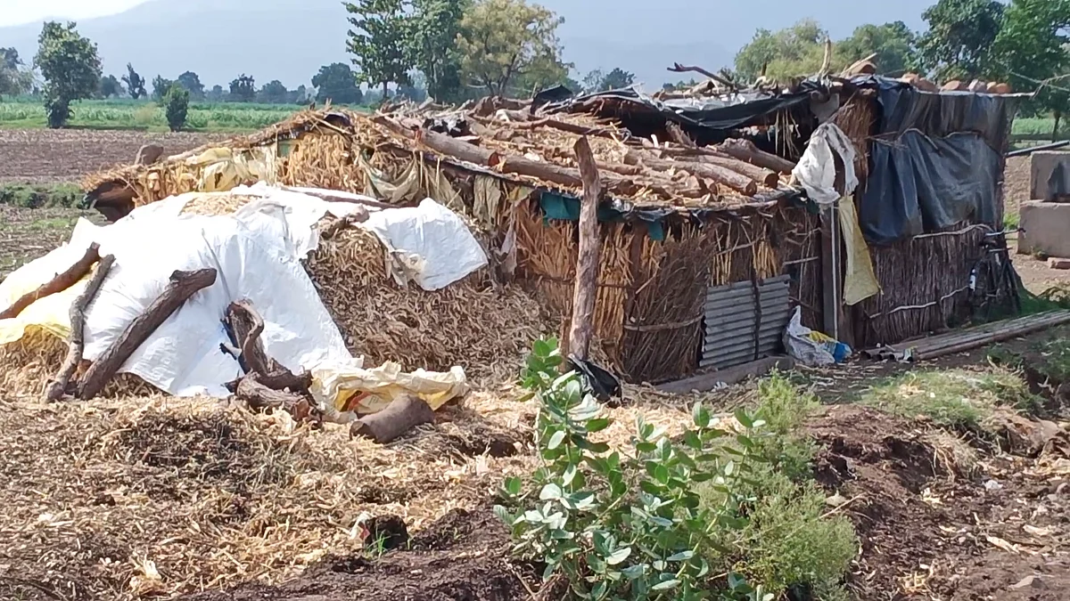 Hut where abortion took place