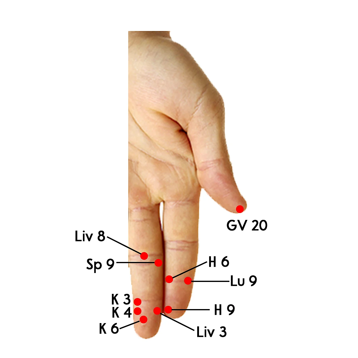 Simply Su-Jok: Manage hypertension and hypotension, here's how
