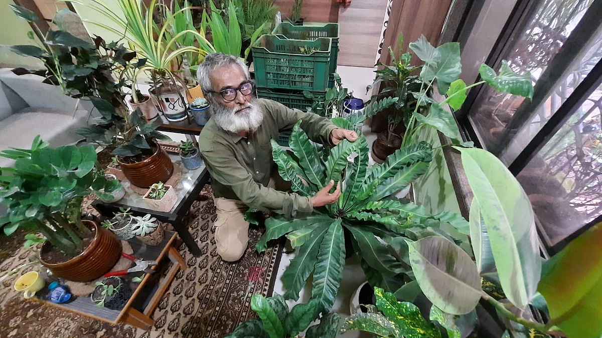 Thane: 62-year-old man vows to plant 75,000 trees till Independence day