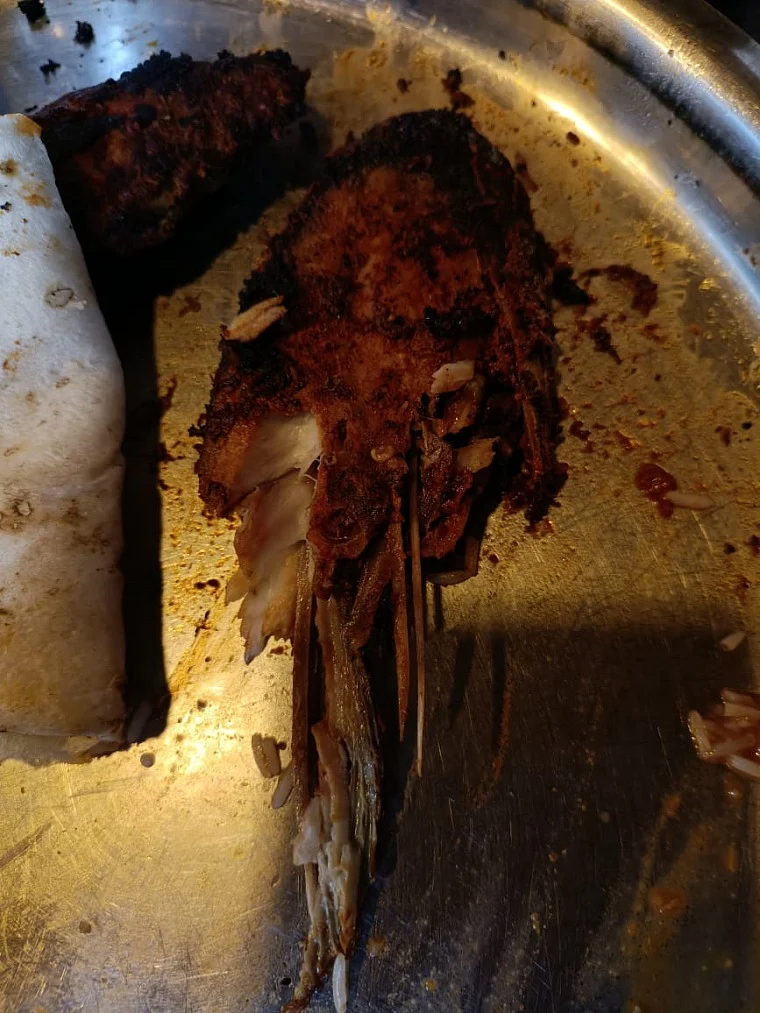 Mahad: Man files complaint against hotel for serving low quality fish, police book hotelier for violating lockdown restrictions