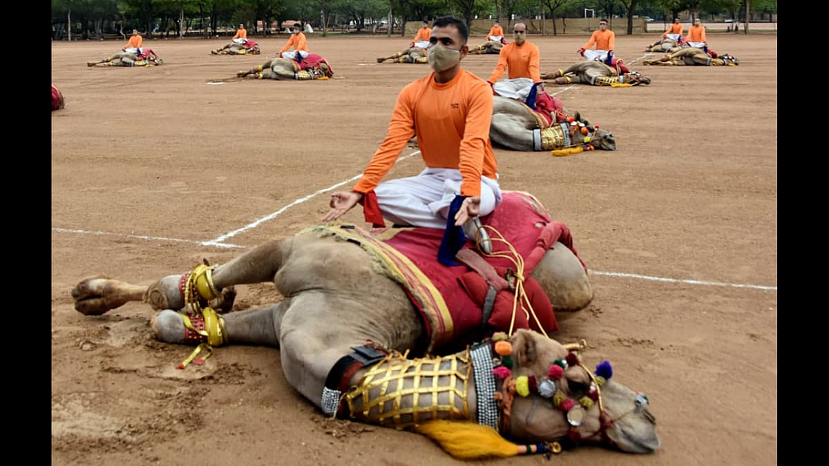 Don T Overdo Things For Pictures Picture Showing Bsf Personnel Posing Over Camel On International Yoga Day Goes Viral Netizens Enraged