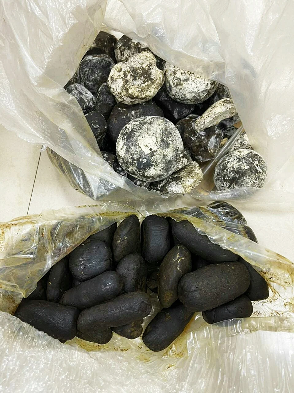 Mumbai: NCB arrests 7 persons, seizes 17.3 kg of Hashish and Rs 4.40 lakh cash