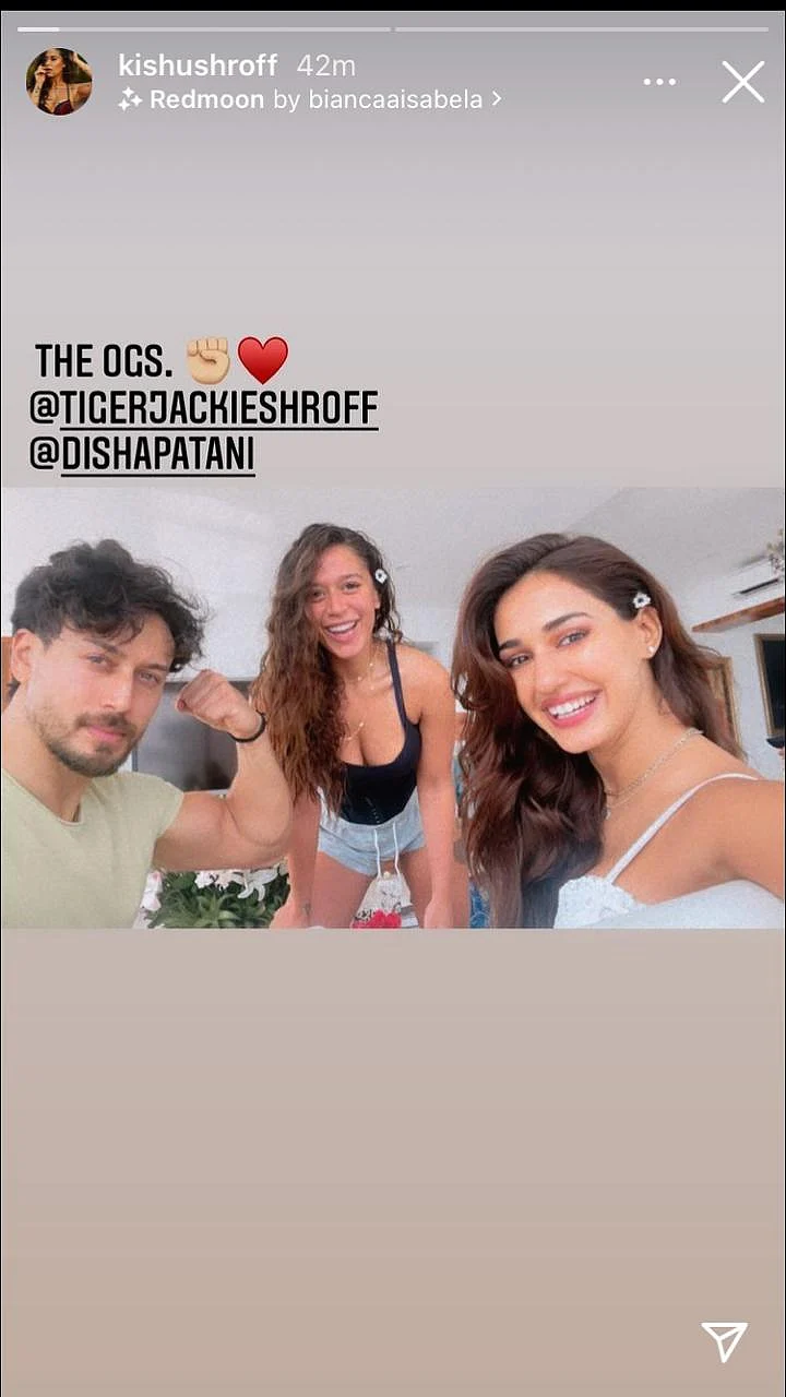 Disha Patani celebrates birthday with rumoured beau Tiger Shroff, his sister Krishna; check out pics and videos