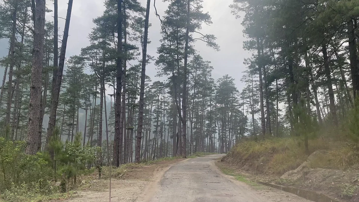 Roads in Kaho