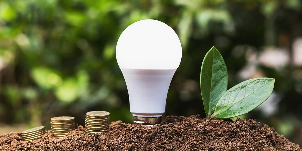 World Environment Day 2021: 'RRR', The three keys that can unlock a cleaner, greener and better tomorrow!