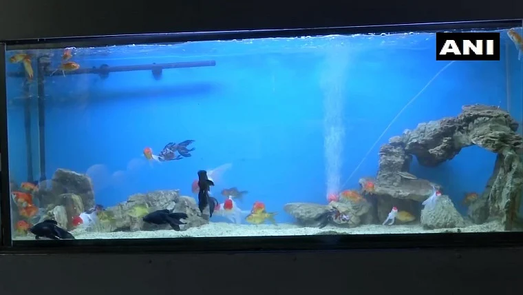 In pics: India's first tunnel aquarium opens at KSR Bengaluru railway station