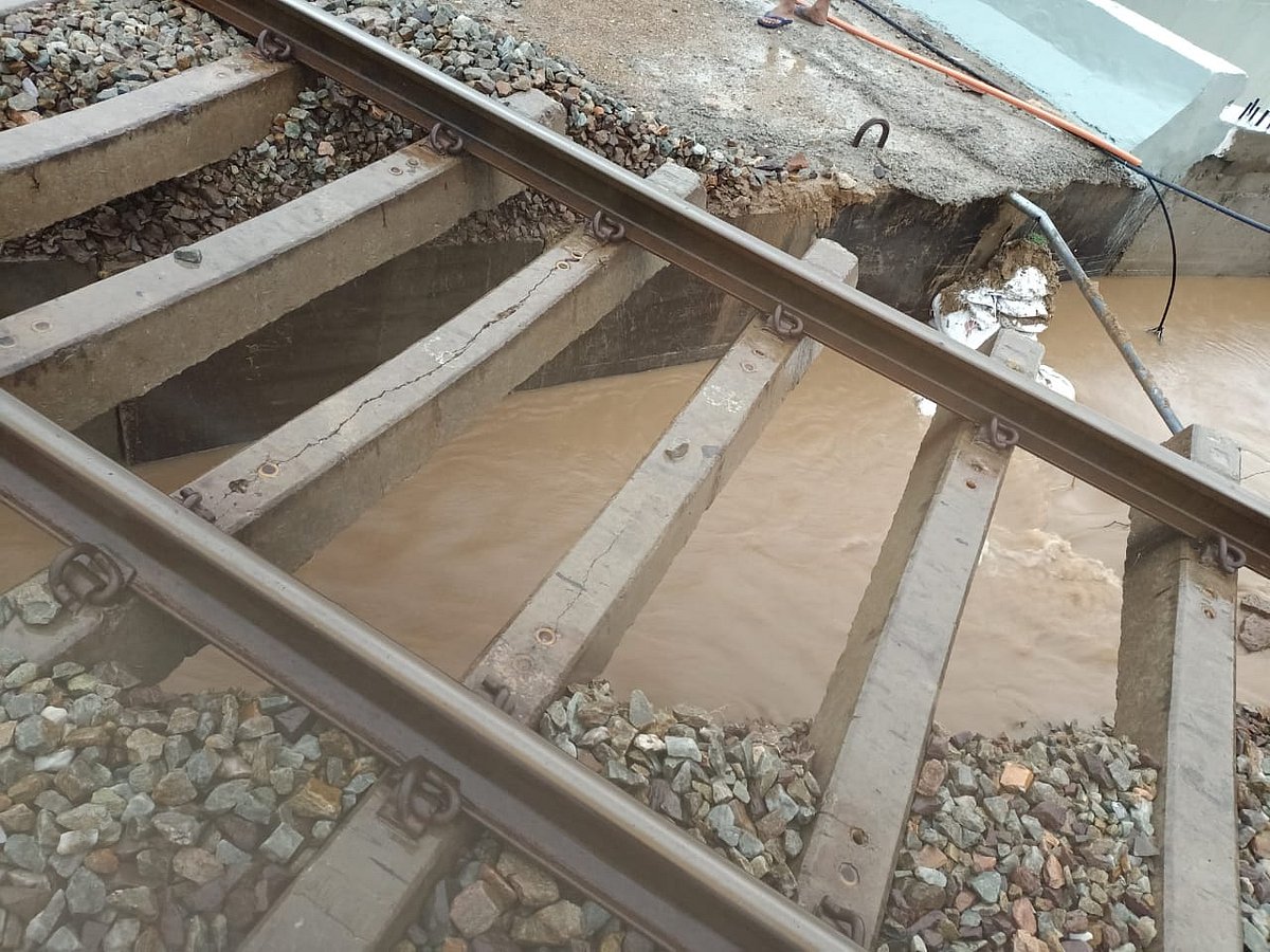 Rain lashes many parts of Rajasthan