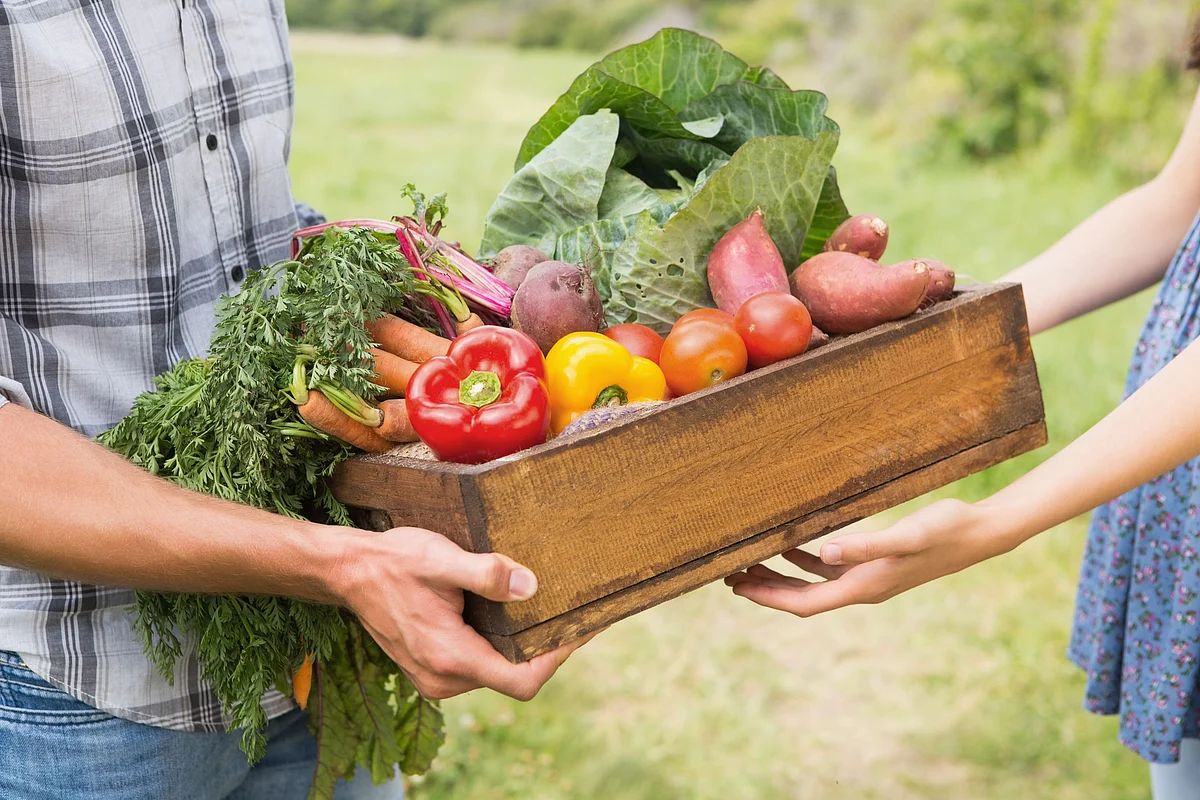 Going organic: Here's all you should know about the novel trend