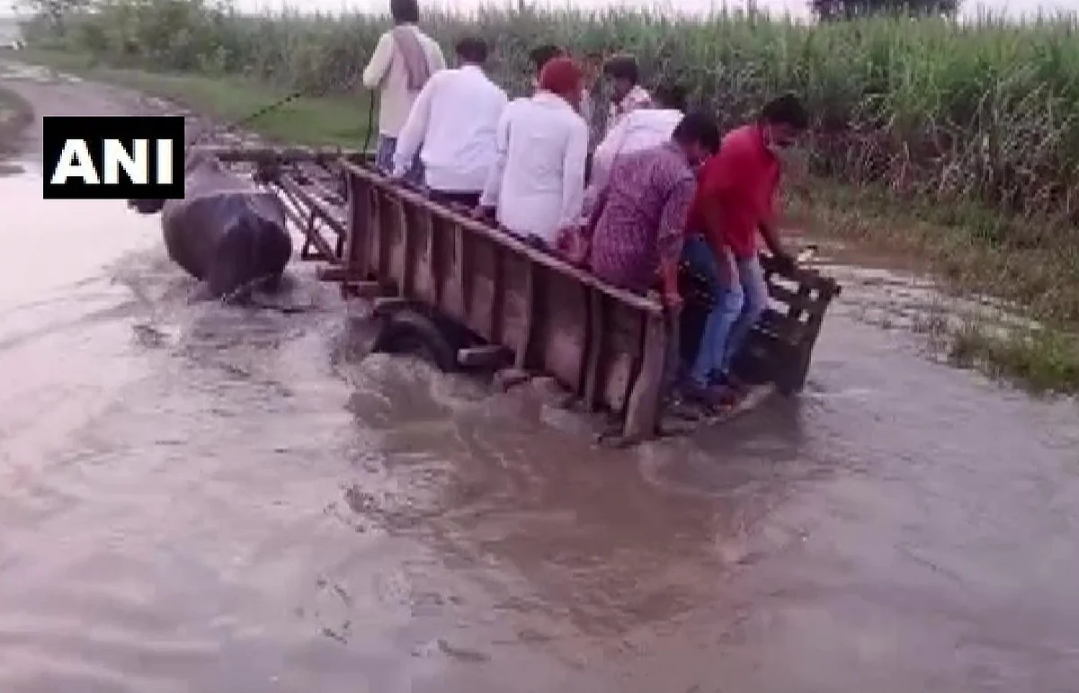 Bagaha SDM Shekhar Anand rode a buffalo cart to reach a river embankment in the flood-affected Ramnagar area in East Champaran, Bihar on July 5, 2021.