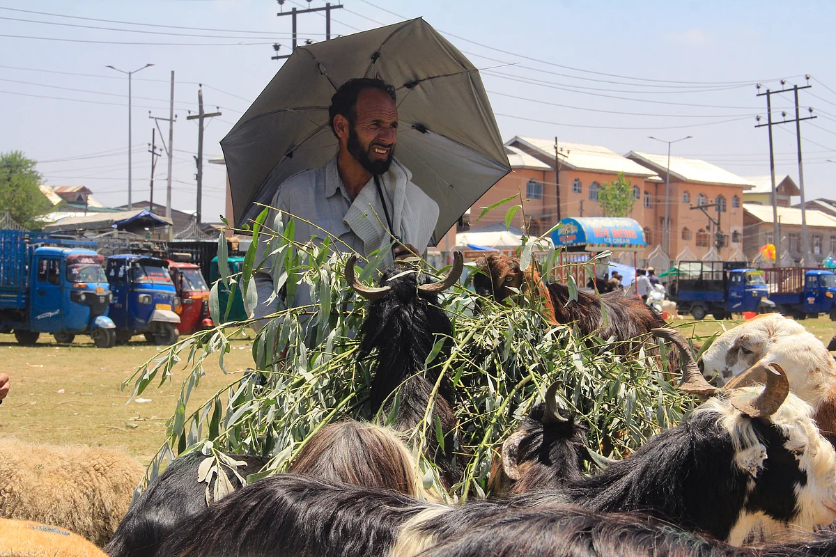 Kashmiri shepherd sells sacrificial sheep in a market ahead of the upcoming Muslim festival of Eid al-Adha on July, 18, 2021.