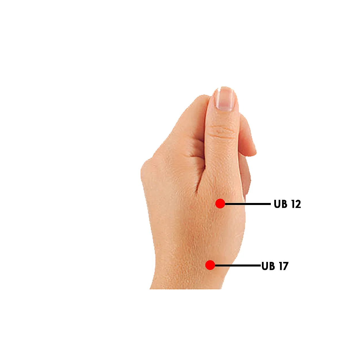Simply Su-Jok: Coughing up blood? Here are some tips that can help cure the problem