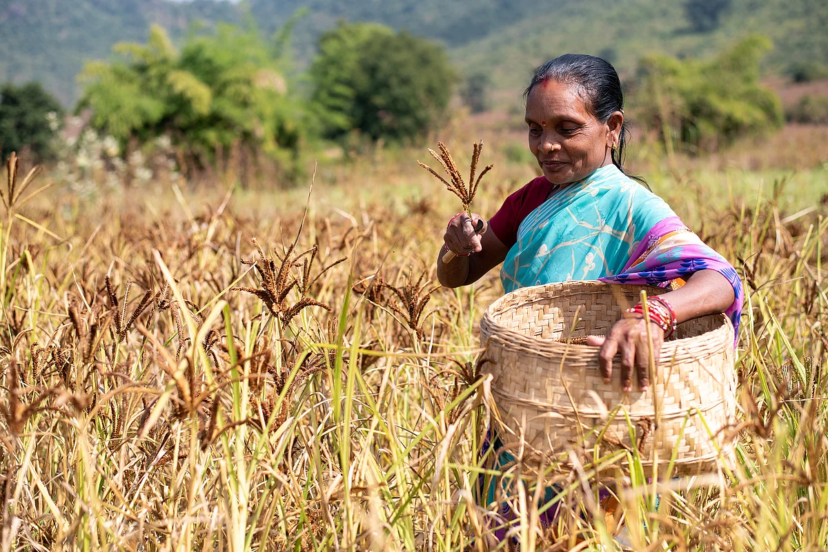 Going organic: Here's all you should know about the novel trend
