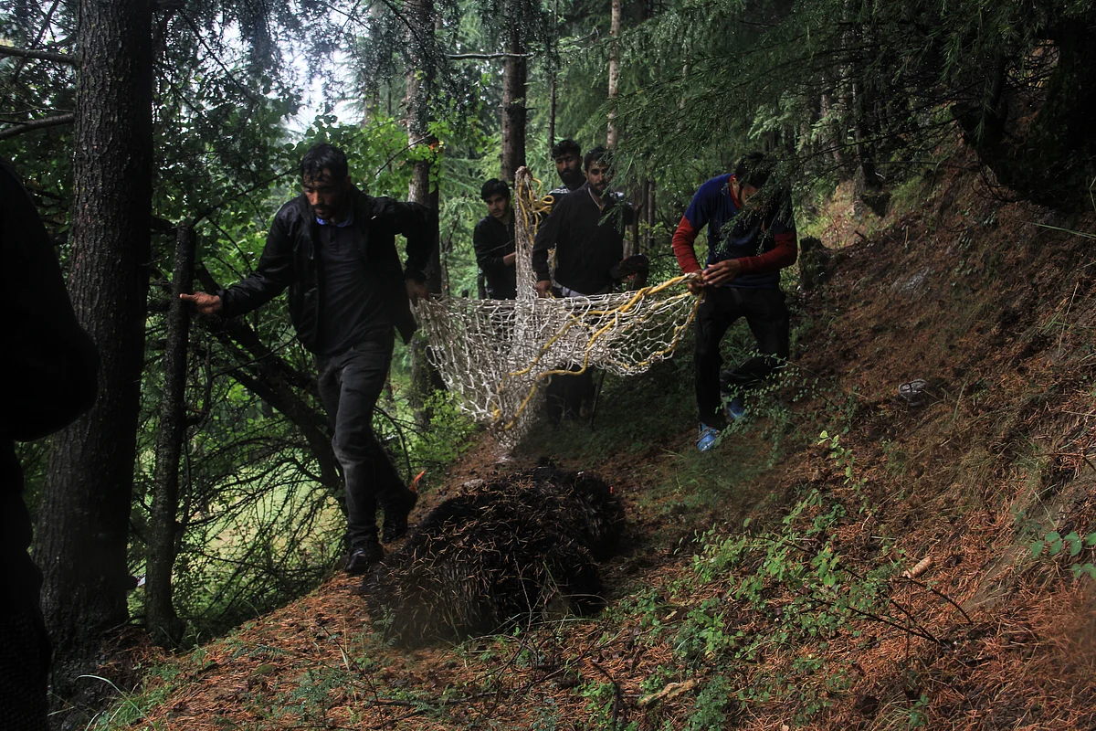 Locals and officials from the Wildlife department rescue a bear and its two cubs who strayed into the Dardpora village in northern Kashmir's Baramulla district on July 13, 2021.