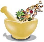 Sanjivani 2013 and exhibition of herbal