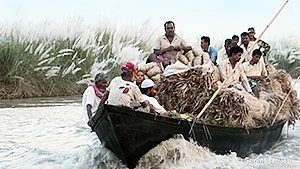 Char – The No Man’s Island: A Touching Story Of Displacement