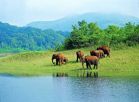 40 places to visit in India before you turn 30