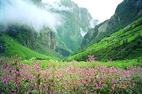 40 places to visit in India before you turn 30