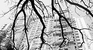 In the charge-sheet, the probe agency had accused Chavan of approving additional FSI (floor space index) for Adarsh, in exchange for two flats, one for his mother-in-law and another for his sister-in-law. Besides, he was also charged with illegally approving, as revenue minister, the allotment of 40 per cent of the flats to civilians when<br />the society was meant for Kargil war widows and defence personnel