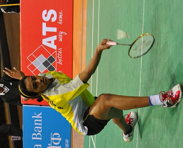Sindhu, Srikanth emerge champs